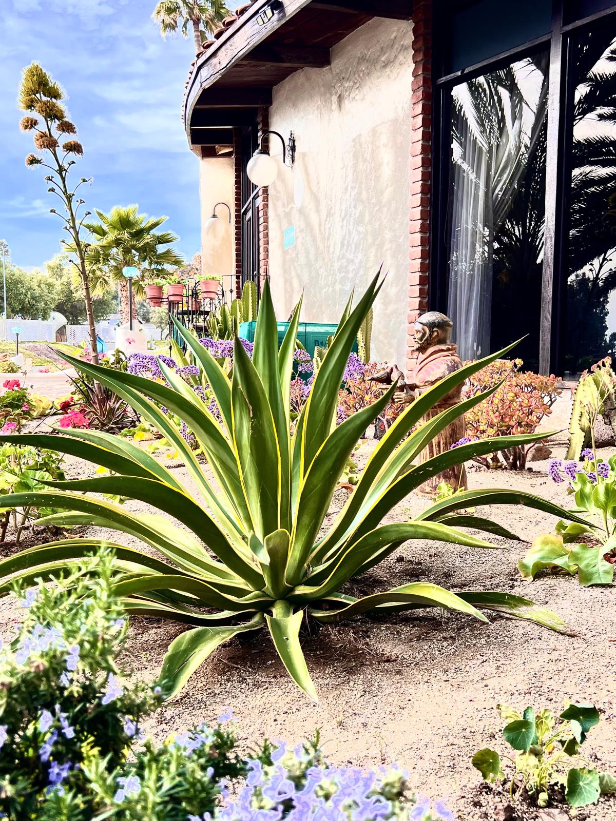 WhatsApp Image 2025-06-02 at 4.20.28 PM (2)-min-min