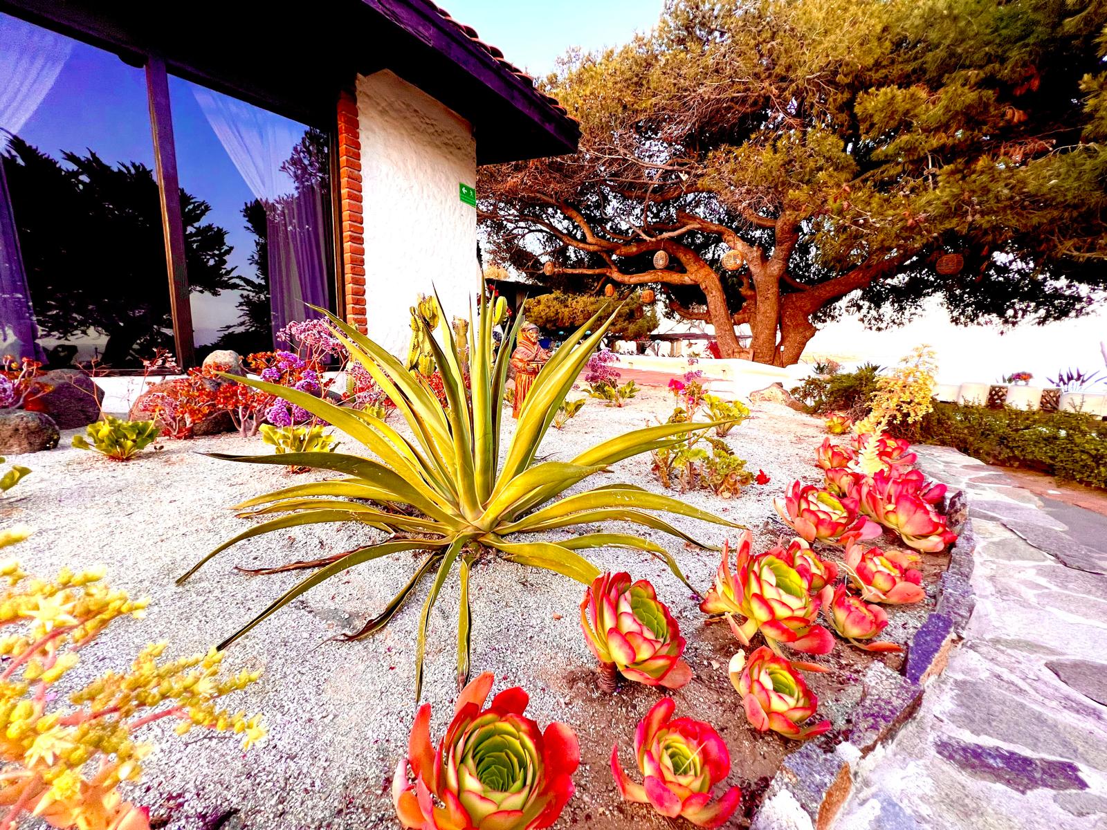 WhatsApp Image 2025-06-02 at 4.20.29 PM (2)-min-min