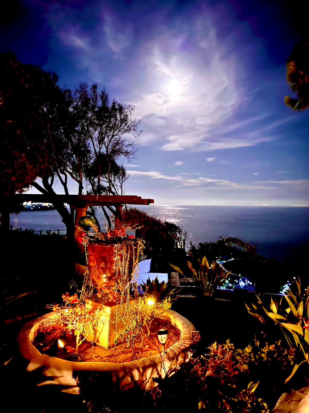 WhatsApp Image 2025-06-02 at 4.20.31 PM (1)-min-min