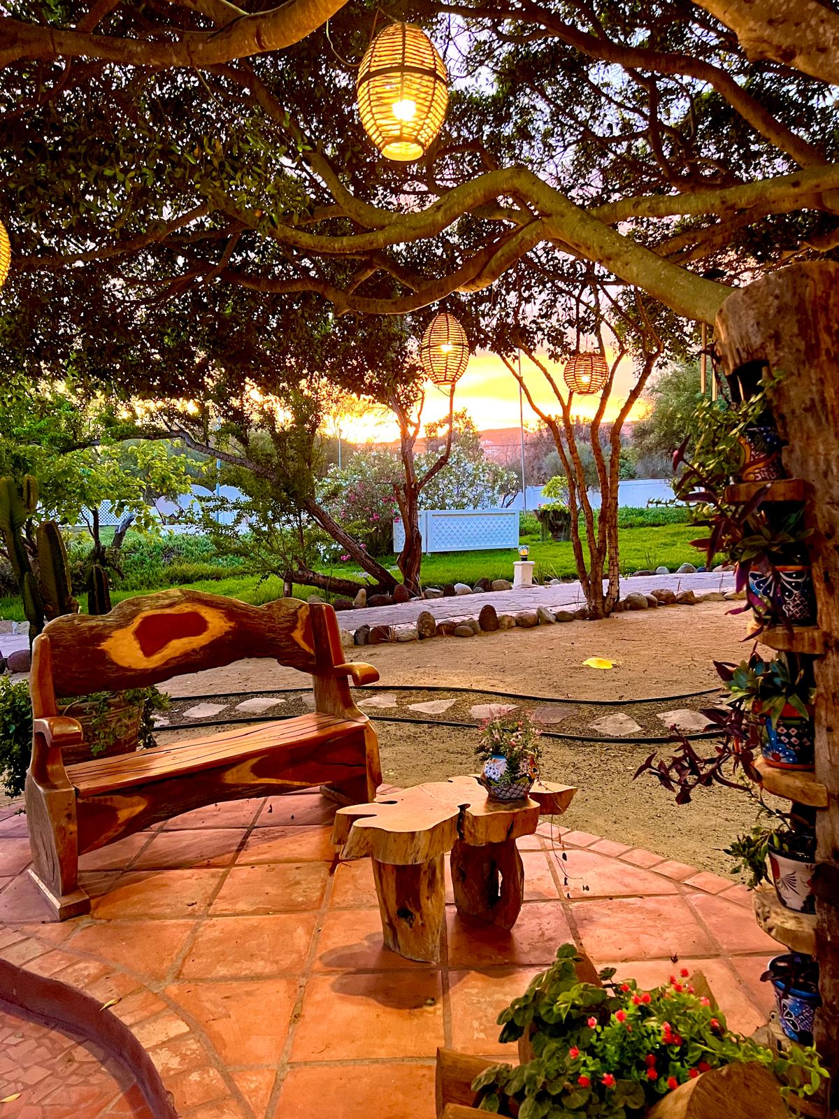 WhatsApp Image 2025-06-02 at 4.20.32 PM (1)-min-min