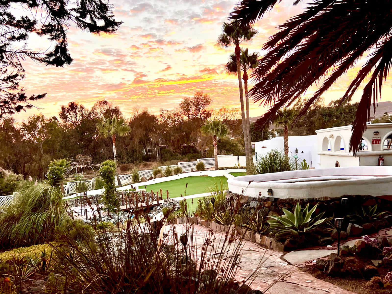 WhatsApp Image 2025-06-02 at 4.20.34 PM (3)-min-min