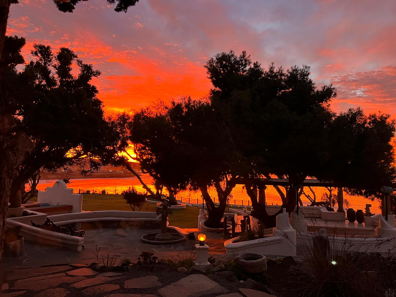 WhatsApp Image 2025-06-02 at 4.20.34 PM-min-min